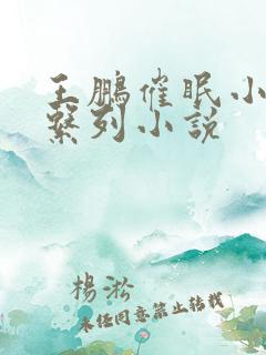 王鹏催眠小说系系列小说