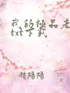 我的极品老婆 txt下载