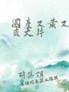 国产又黄又a又爽大片