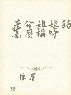 老公姐姐的丈夫怎么称呼