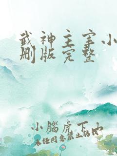 武神主宰小说未删版完整