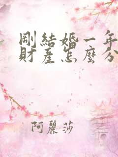 刚结婚一年离婚财产怎么分