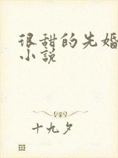 很甜的先婚后爱小说