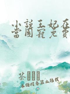 小说王妃在京城当团宠免费阅读