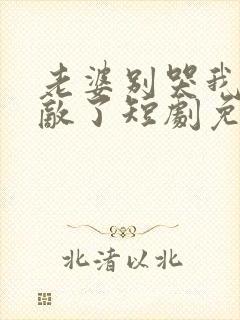 老婆别哭我已无敌了短剧免费观看