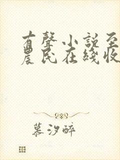 有声小说至尊小农民在线收听