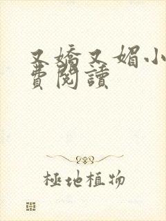 又娇又媚小说免费阅读