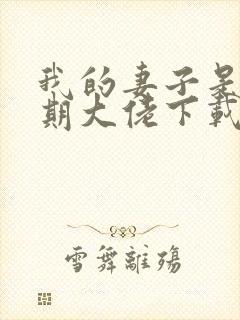 我的妻子是大乘期大佬下载txt