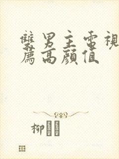 双男主电视剧推荐高颜值