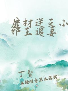 废材逆天小姐之邪王追妻