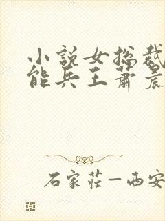 小说女总裁的全能兵王萧晨免费