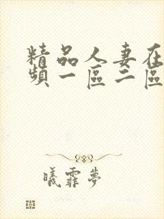 精品人妻在线视频一区二区