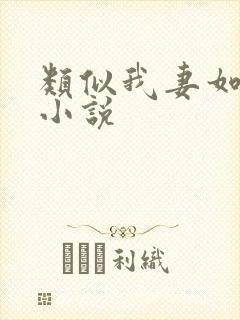 类似我妻如奴的小说