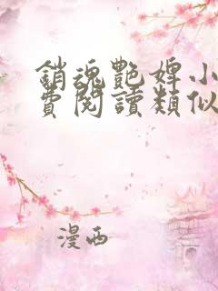 销魂艳婢小说免费阅读类似