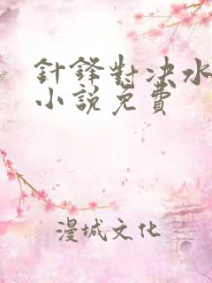 针锋对决水千丞小说免费