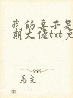 我的妻子是大乘期大佬txt免费下载