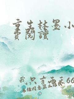 重生林墨小说免费阅读