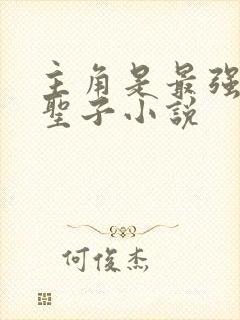 主角是最强圣地圣子小说