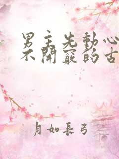 男主先动心女主不开窍的古言