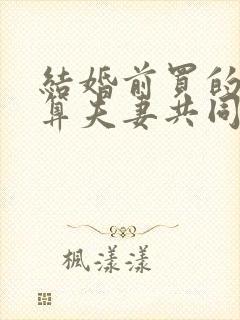 结婚前买的房子算夫妻共同财产吗