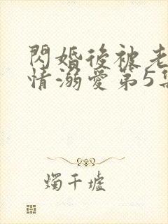 闪婚后被老公深情溺爱第5集