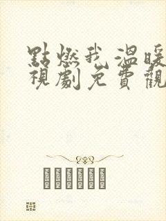 点燃我温暖你电视剧免费观看星辰