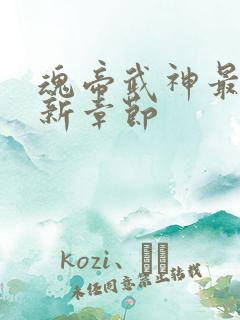 魂帝武神最新更新章节