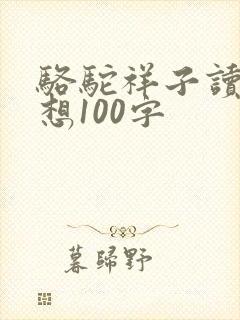 骆驼祥子读后感想100字