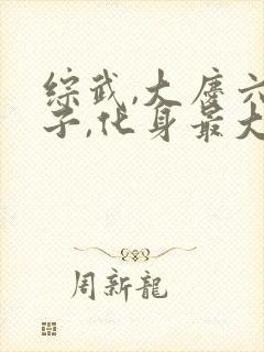 综武,大庆六皇子,化身最大反派