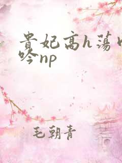 贵妃高h荡肉呻吟np