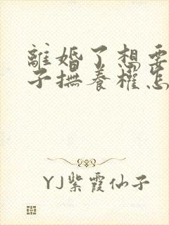 离婚了想要回孩子抚养权怎么办