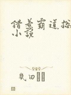 错惹霸道总裁 小说