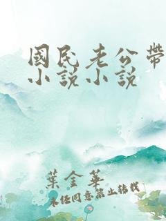 国民老公带回家小说小说