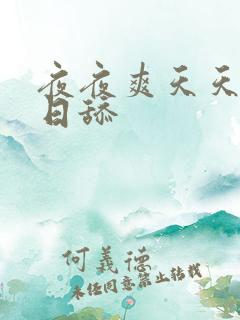 夜夜爽天天插日日舔