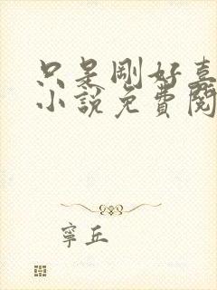 只是刚好喜欢你小说免费阅读全文