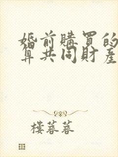 婚前购买的房子算共同财产吗