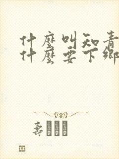 什么叫知青,为什么要下乡?