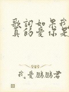 歌词如果我说我真的爱你是什么歌名