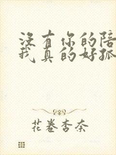 没有你的陪伴 我真的好孤单