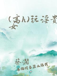(高h)玩淫贵女