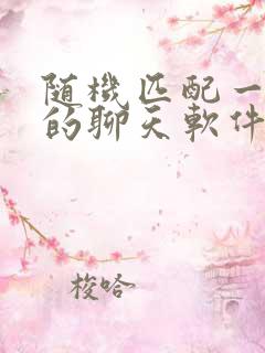 随机匹配一对一的聊天软件