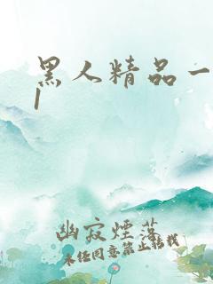 黑人精品一区91