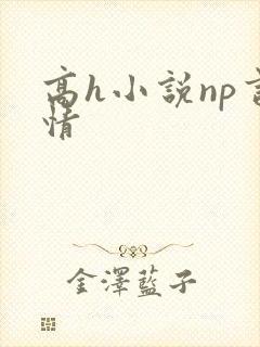 高h小说np言情