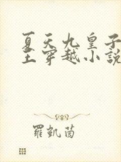 夏天九皇子荒州王穿越小说