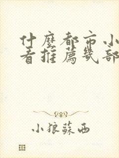 什么都市小说好看推荐几部完结的