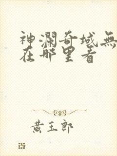 神澜奇域无双珠在哪里看