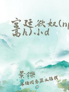 宫廷欲奴(np高h)小d