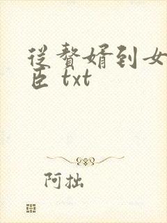 从赘婿到女帝宠臣 txt