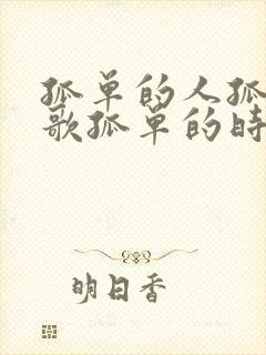 孤单的人孤单的歌孤单的时候别唱情歌