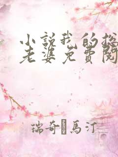 小说我的总裁大老婆免费阅读